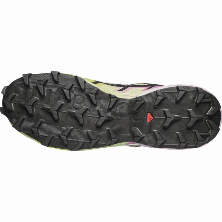 Buty damskie Salomon Speedcross 6 Gore-Tex