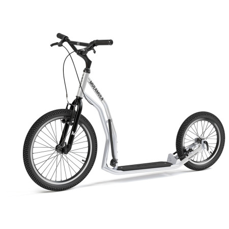 Hulajnoga Yedoo Mula Y40 srebrny silver