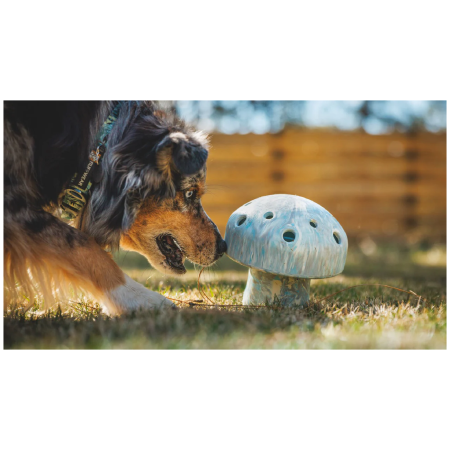 Zabawka dla psa Ruffwear Porchini™