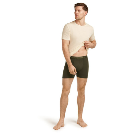 Męskie bokserki Icebreaker Mens Anatomica Boxers