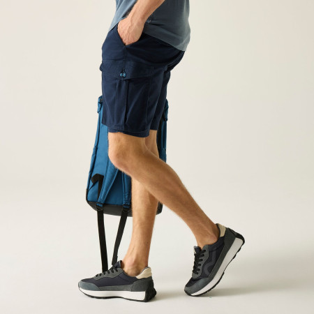 Spodenki męskie Regatta Bendrick Shorts