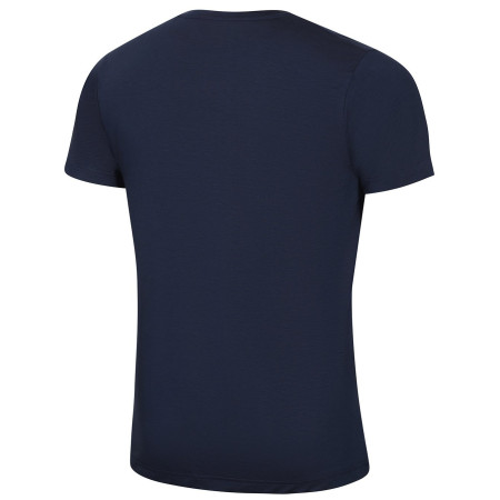 Koszulka męska Alpine Pro Lyor