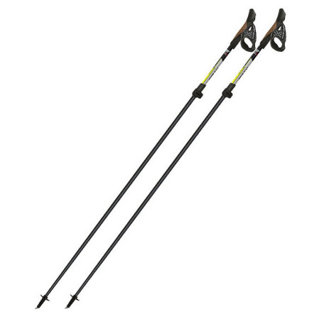 Kijek Nordic walking Fizan Tekno