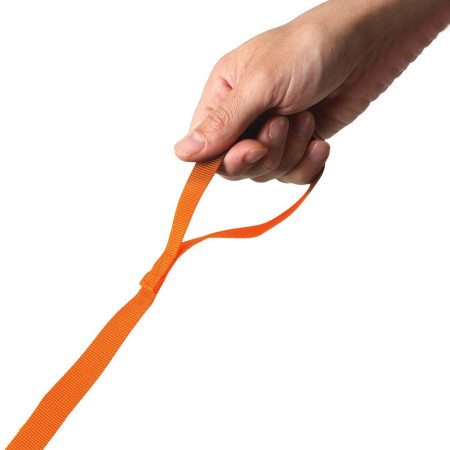 Plecak dziecięcy LittleLife Toddler Backpack, FF, Lion