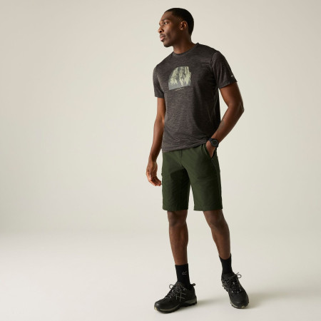 Spodenki męskie Regatta Highton Shorts Long II