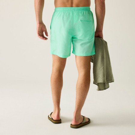 Spodenki męskie Regatta Mackleyna Swim Short