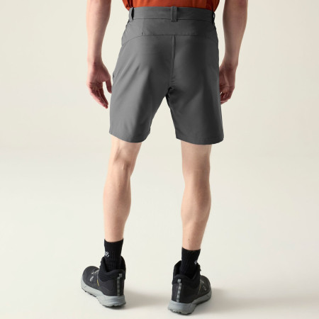 Spodenki męskie Dare 2b Torrek II Short