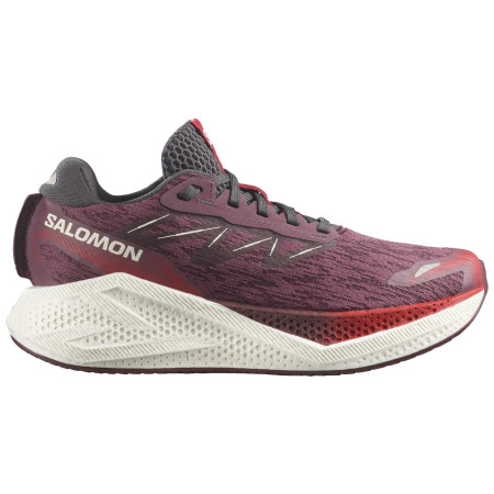 Damskie buty do biegania Salomon Aero Glide 4