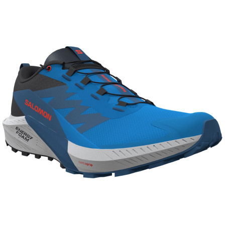 Buty do biegania dla mężczyzn Salomon Sense Ride 5 niebieski French Blue / Black / Dark Blue
