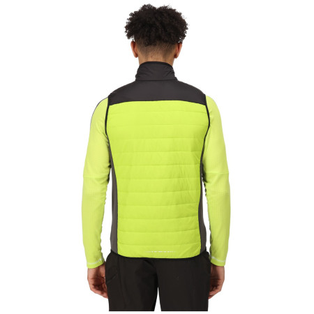 Kamizelka męska Regatta Halton BW VI