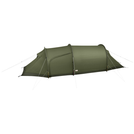 Namiot turystyczny Fjällräven Abisko Endurance 2 zielony Pine Green