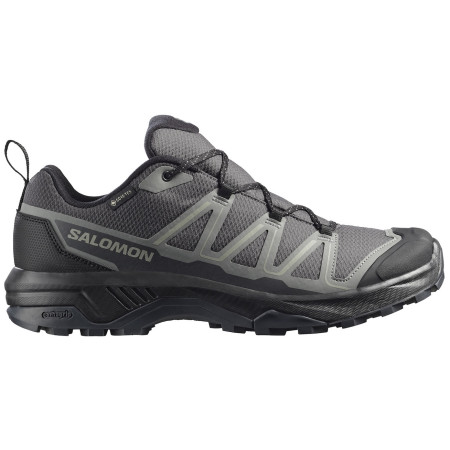 Męskie buty trekkingowe Salomon Exraise Gtx szary Asphalt / Sedona Sage / Black