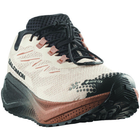 Buty męskie Salomon Aero Blaze 4 Grvl Gtx