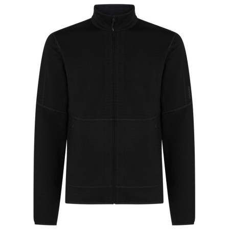 Bluza męska Icebreaker M Mer 400 RealFleece Descender LS Z czarny Black