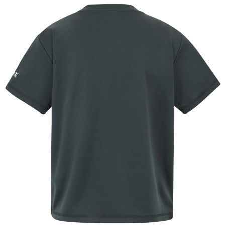 T-shirt dziecięcy Regatta Alvarado Seal Grey