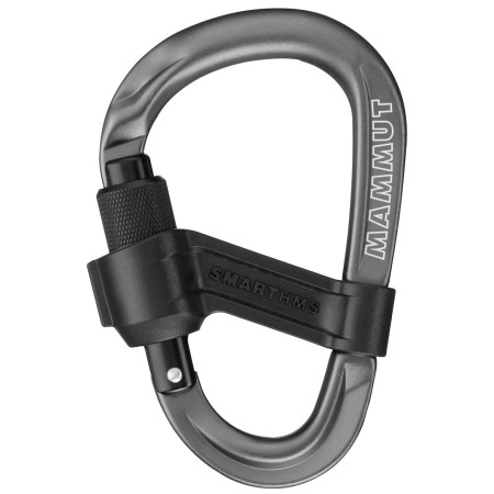 Pomoc do asekuracji Mammut Smart 2.0 Belay Package jasnoniebieski alpine calamint