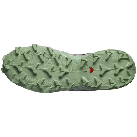 Damskie buty do biegania Salomon Speedcross 6