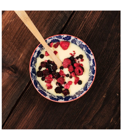 Deser Lyo food Crema Catalana