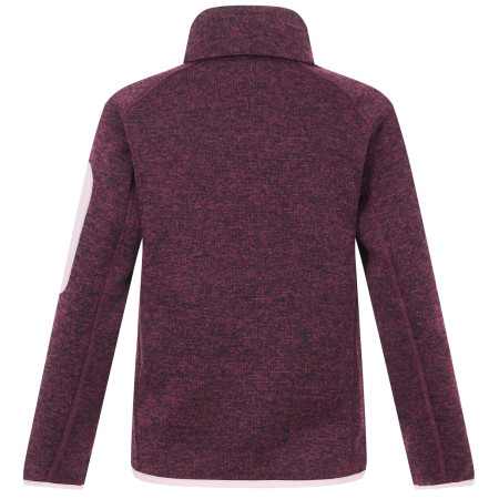 Bluza dziecięca Regatta Junior Newhill Fig Powder Lilac