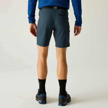 Spodenki męskie Regatta Xert Stretch Shorts