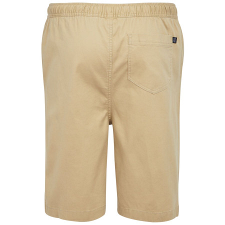 Męskie szorty Regatta Aldan Short