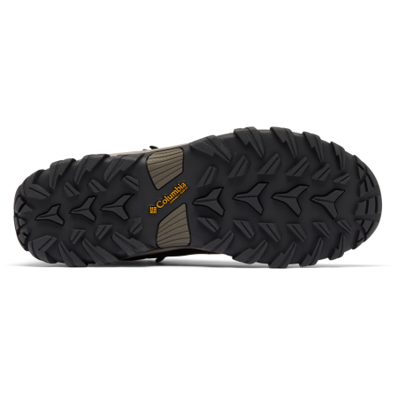 Buty męskie Columbia Newton Ridge™ Plus II Waterproof