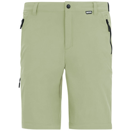 Spodnie męskie Regatta Anti-Insect Travel Light Z/O Trousers