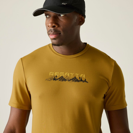 Koszulka męska Regatta Fingal Stretch