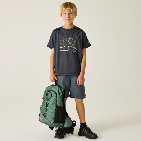 T-shirt dziecięcy Regatta Alvarado Seal Grey