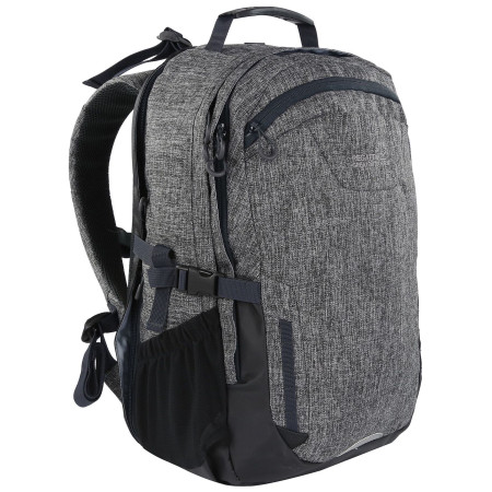 Plecak Regatta Cartar 25L zarys Grey