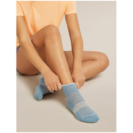 Skarpety damskie Icebreaker Women Multisport Light Mini