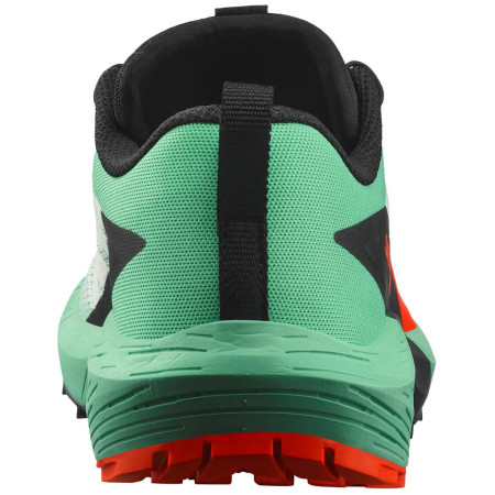 Damskie buty do biegania Salomon Sense Ride 5