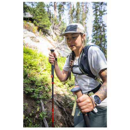 Kije trekkingowe Black Diamond Pursuit Carbon FLZ