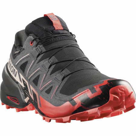 Buty do biegania dla mężczyzn Salomon Speedcross 6 Gore-Tex
