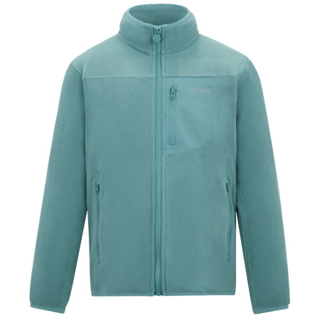 Bluza dziecięca Regatta Junior Frankie F/Z Ivy Moss jasnozielony Ivy Moss