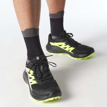 Buty do biegania dla mężczyzn Salomon Alphaglide Gore-Tex