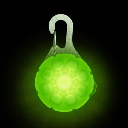 Świecąca obroża dla psa Nite Ize SpotLit Rechargeable Collar Light