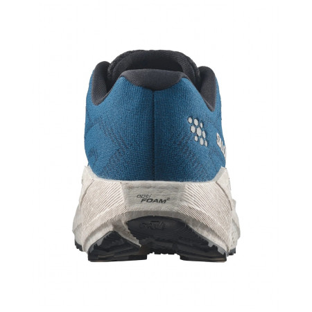 Buty męskie Salomon Aero Blaze 4 Grvl