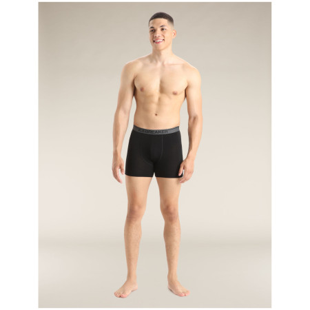 Męskie bokserki Icebreaker Mens Anatomica Boxers