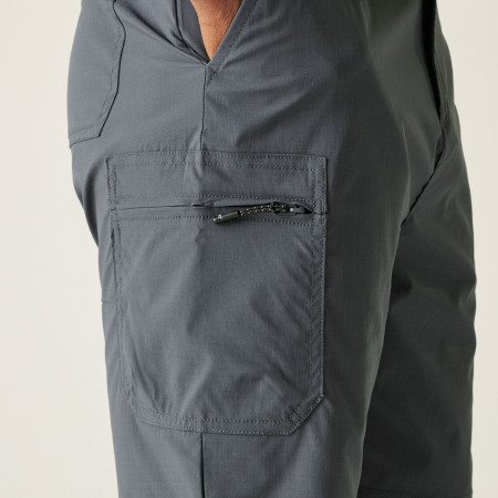 Męskie szorty Regatta Dalry Short