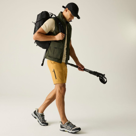 Kamizelka męska Regatta Anti-Insect Travel Light B/W