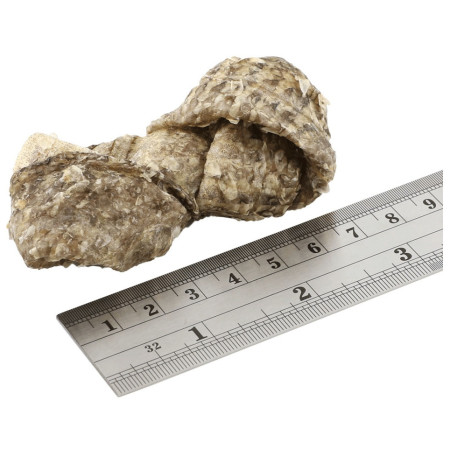 Przysmaki dla psów Fish4Dogs Dental Sea Jerky Fish Knots 100g