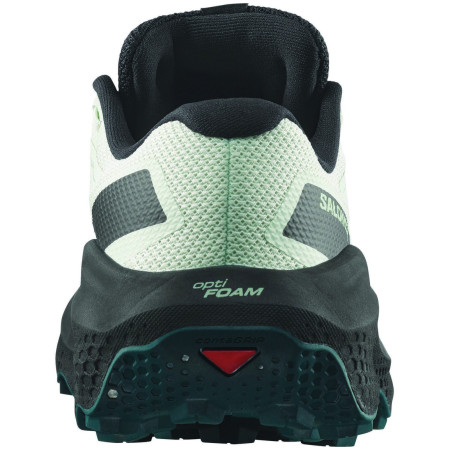 Damskie buty do biegania Salomon Ultra Flow 2 Gore-Tex