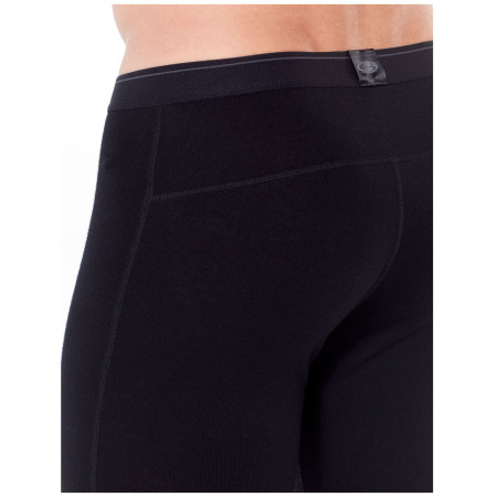 Męskie kalesony Icebreaker M 260 Tech Leggings wFly