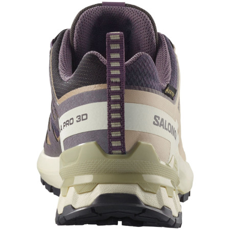 Damskie buty turystyczne Salomon Xa Pro 3D V9 Gore-Tex