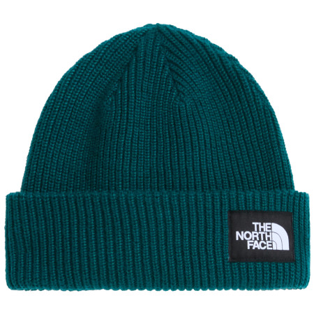 Czapka The North Face Salty Lined Beanie