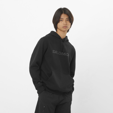 Bluza męska Salomon Logo Hoodie M