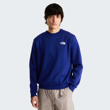 Bluza męska The North Face M Evolution Box Nse Regular Crew