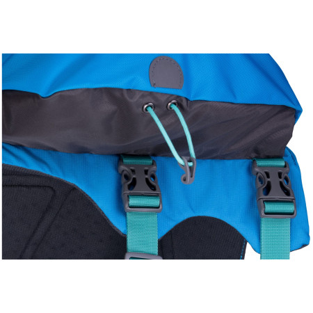 Plecak dla psa Ruffwear Approach™ Pack