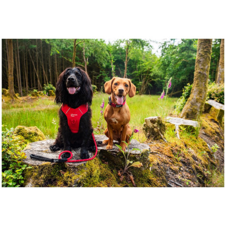 Smycz dla psa Mountain Paws Rope Dog Lead